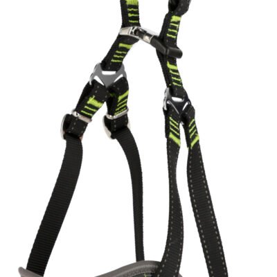 Car Safety Harness