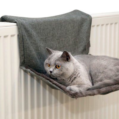 Cat Hammock Paradies