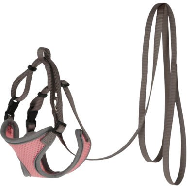 Cat Harness with Leash