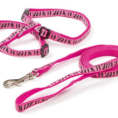Cat Harness with Leash